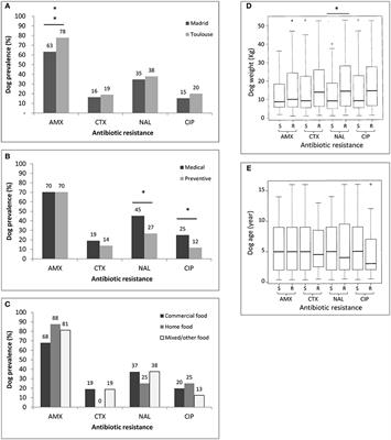 Prevalence of Beta-Lactam and Quinolone/Fluoroquinolone Resistance in Enterobacteriaceae From Dogs in France and Spain—Characterization of ESBL/pAmpC Isolates, Genes, and Conjugative Plasmids